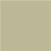 Zoffany Paint Fennel