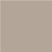 Zoffany Paint Suede